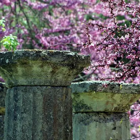 Aparthotel Oasis By The Sea 3*