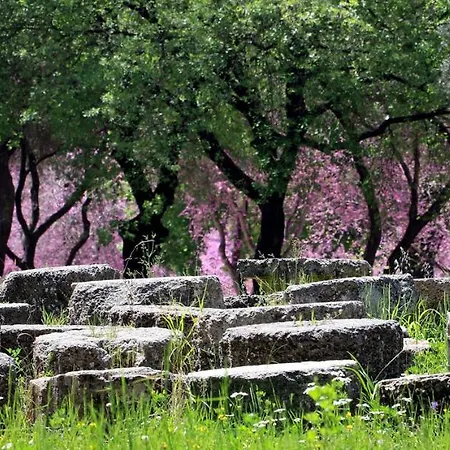 Oasis By The Sea Aparthotel 3*